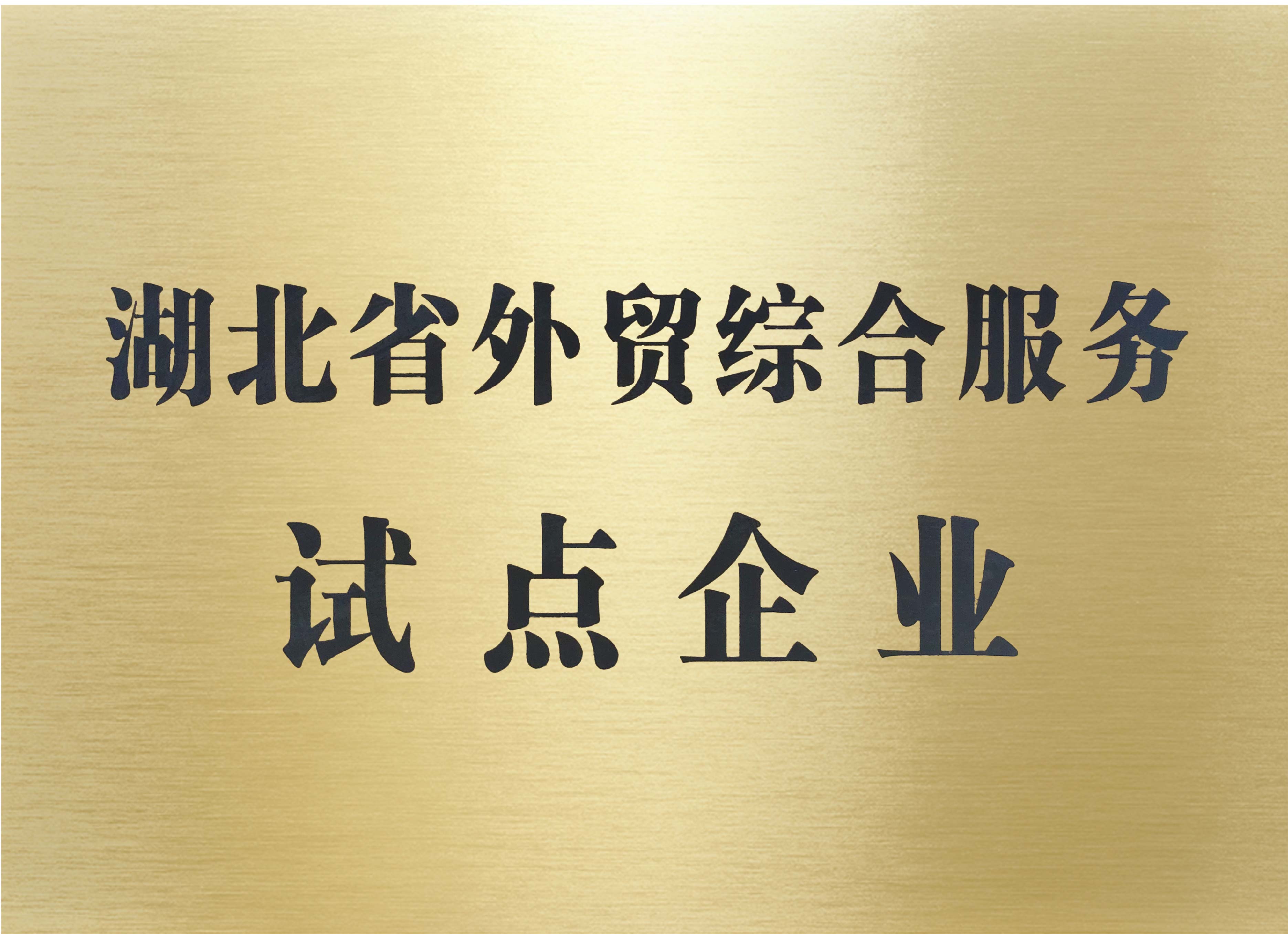 荣誉证书7